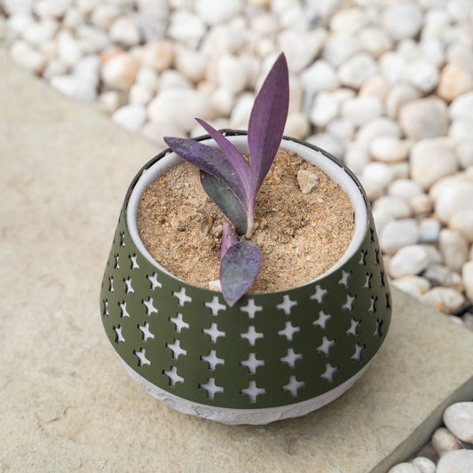 Corm Lacebound Planter