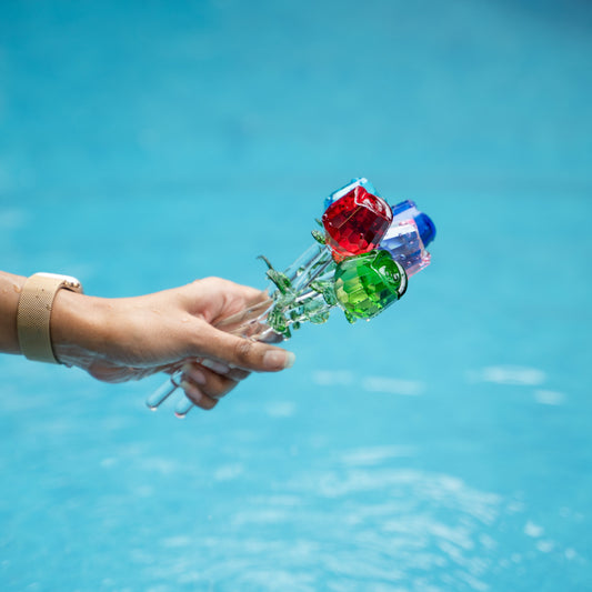 Elarose Set - Set of 6