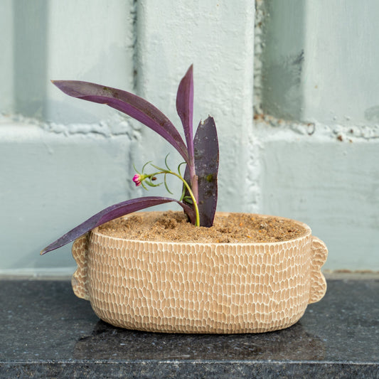 Terreno Textured Oval Ceramic Planter