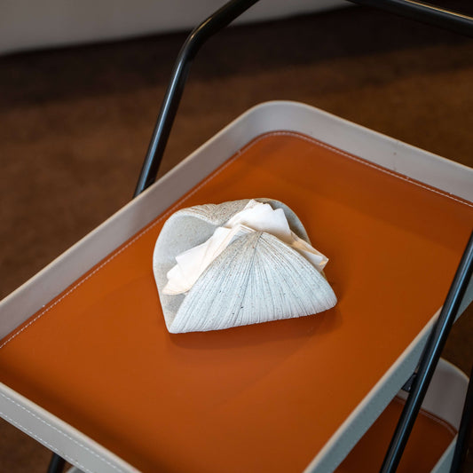 Drape Tissue Holder in Sandstone Finish