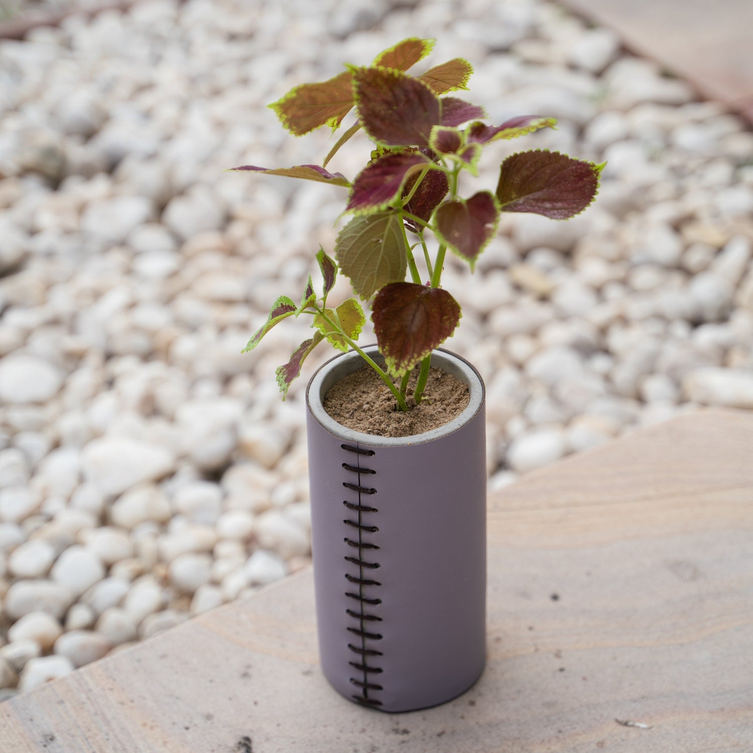 Planters