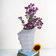Sirocco Vase