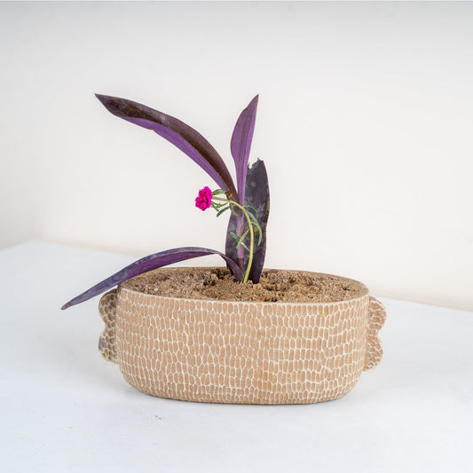  Terreno Textured Oval Ceramic Planter