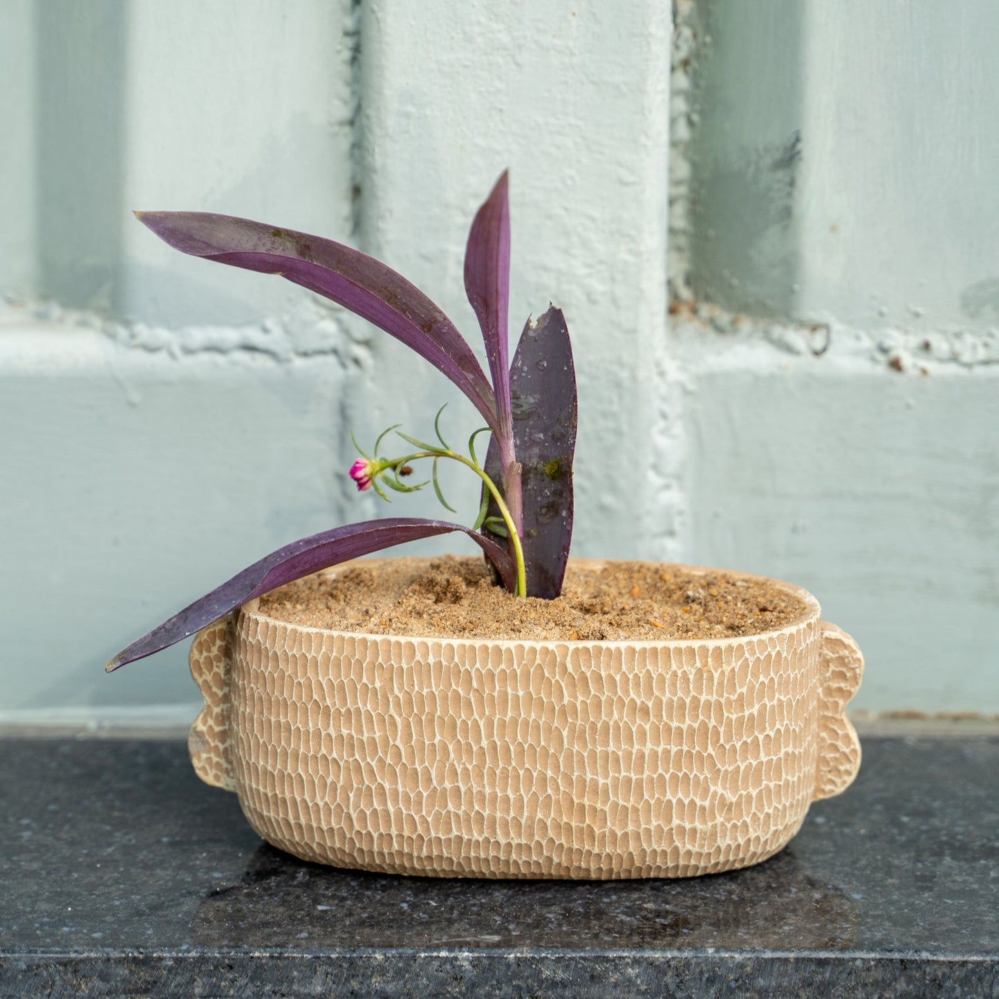  Terreno Textured Oval Ceramic Planter