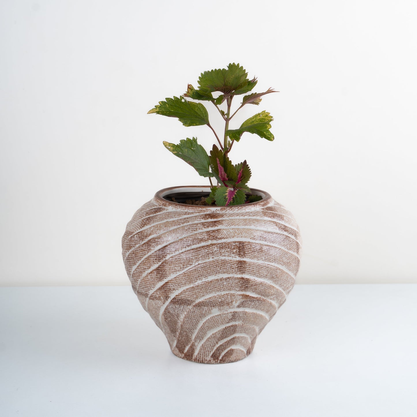 Vena Planter