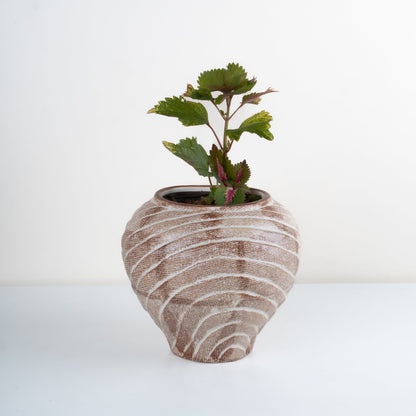 Vena Planter