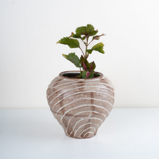 Vena Planter