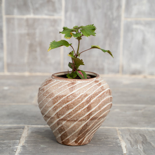 Vena Planter