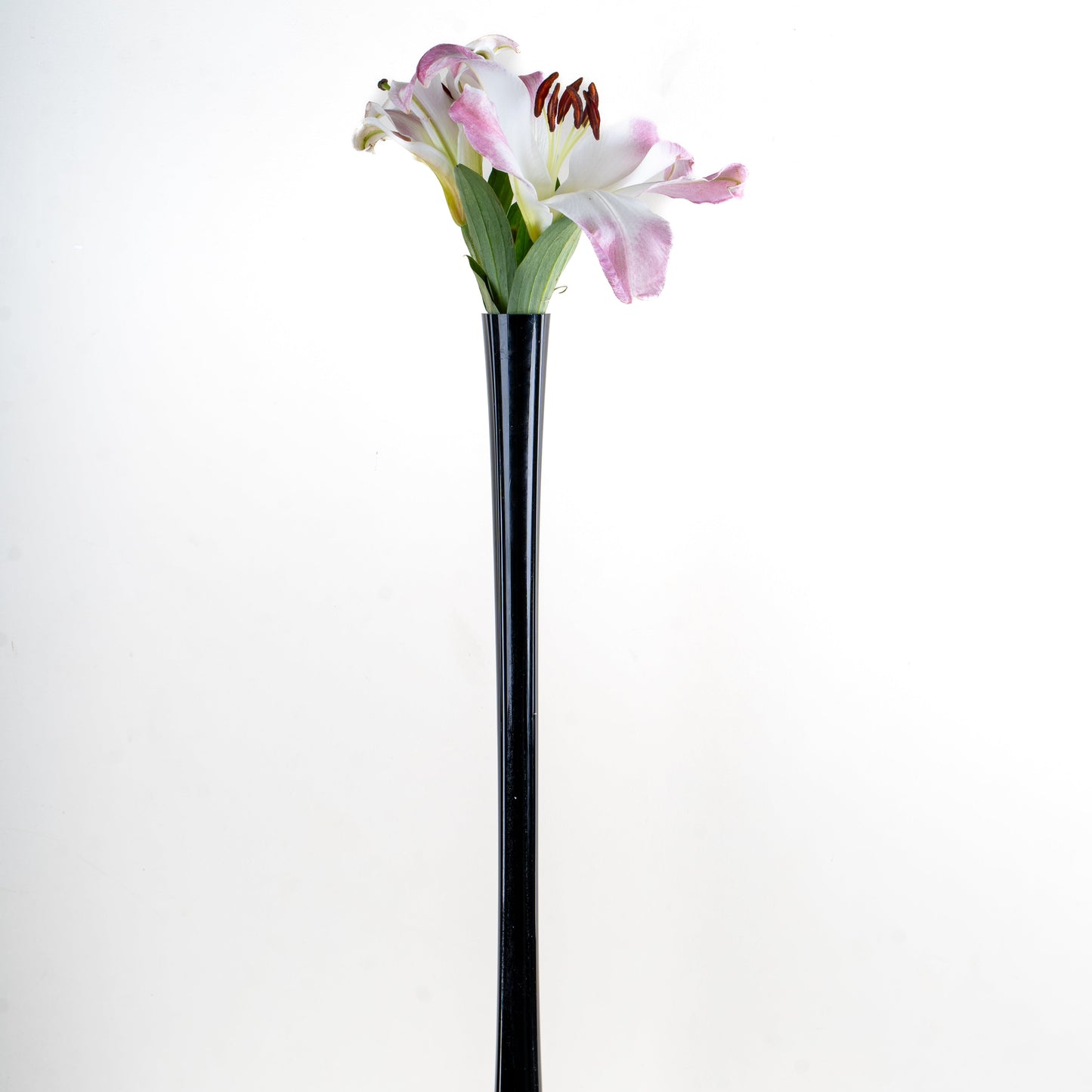 Verre Tall Glass Vase Set- Set of 2