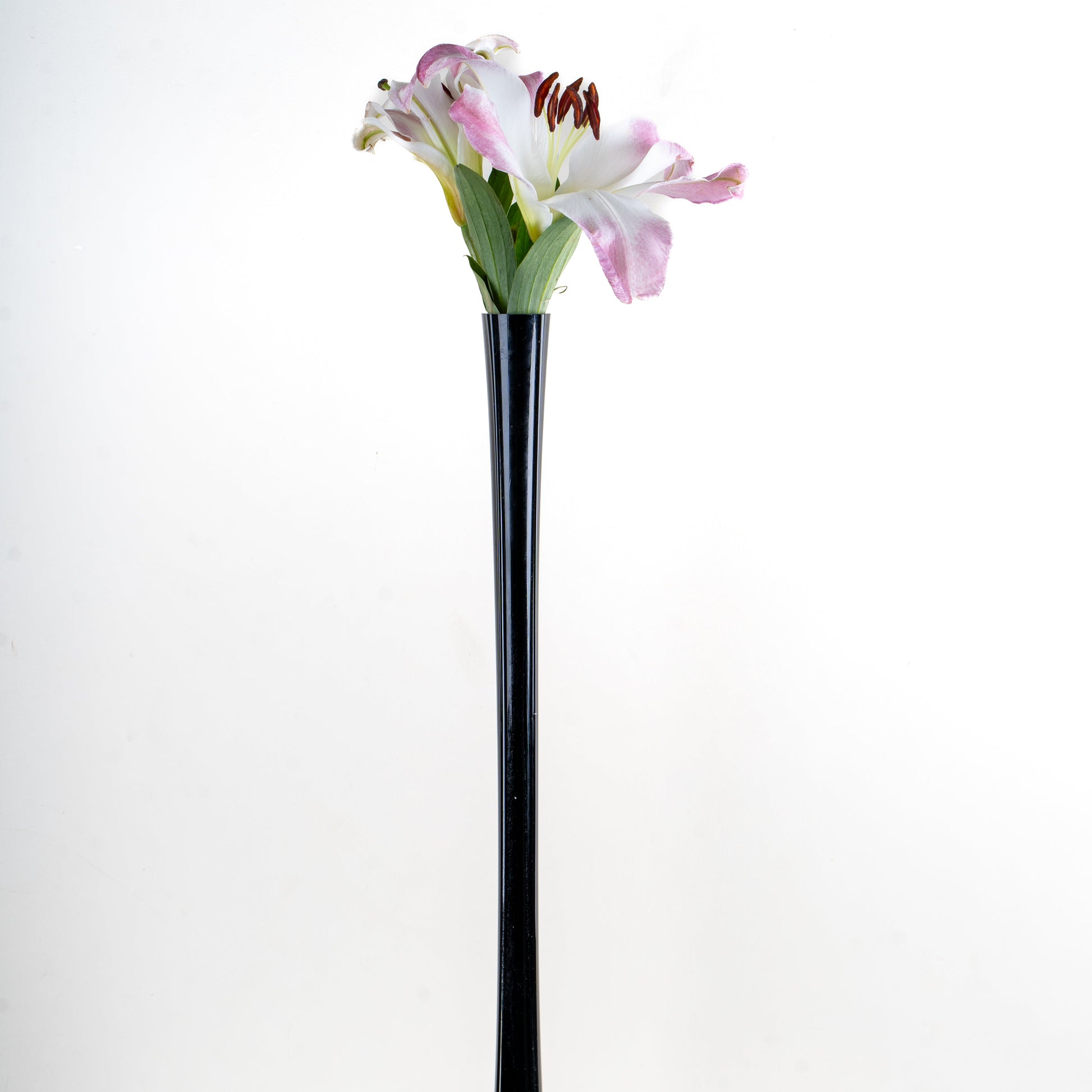 Verre Tall Glass Vase Set- Set of 2
