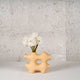  Calypso Vase