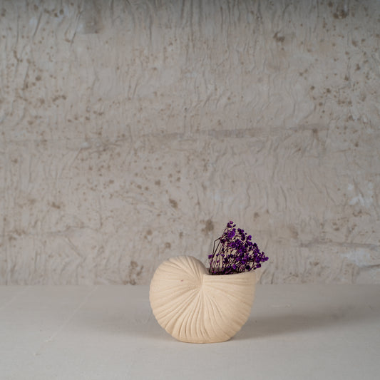 Caroa Ceramic Vase