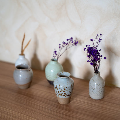 TerraHue Miniature Pot Set – Set of 5